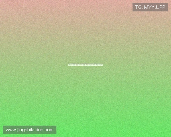 探索上海极限运动队的运营模式与发展潜力的深度解析